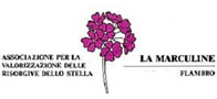 Associazione per la valorizzazione delle risorgive dello Stella - La Marculine