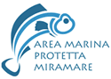Area Marina Protetta Miramare